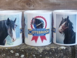 Cotebrook Shire Horse Centre