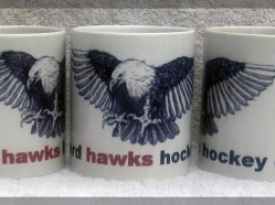 Oxford Hawks HC
